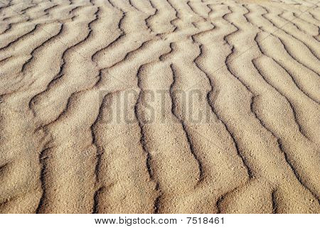 Sandy vlny