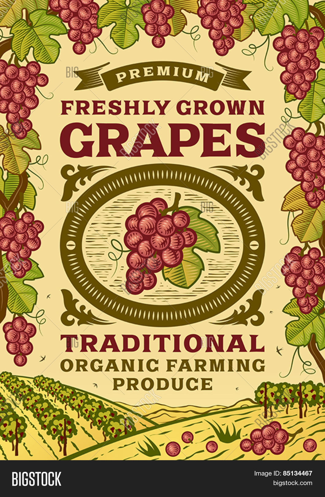 Retro Grapes Poster. Vector & Photo (Free Trial) Bigstock