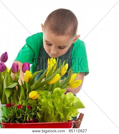 Little gardener boy, isolated on white