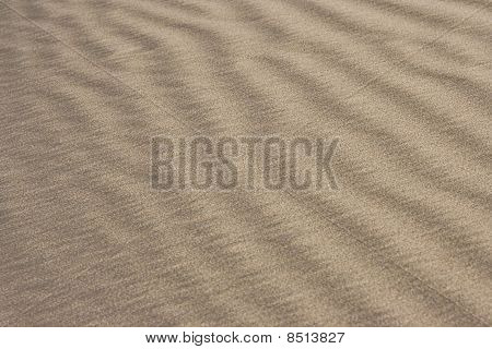 Texture sabbia spazzate dal vento