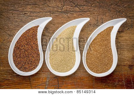 three tiny gluten free grains - kaniwa, amaranth and teff on teardrop shaped bowls against rustic wood