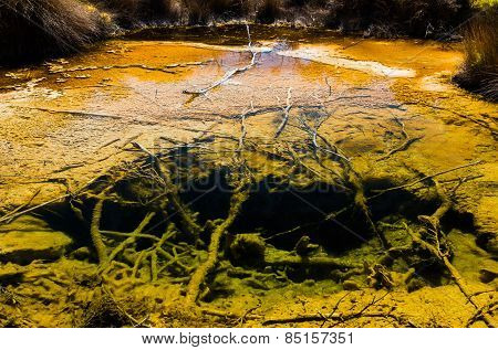Geothermal Pond