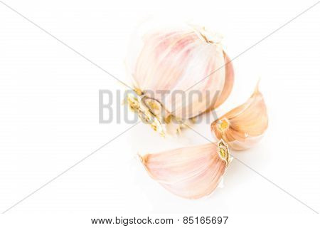 Garlic