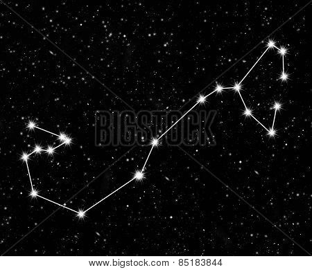 constellation Scorpius against the starry sky