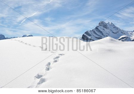 Footprints in the snow.