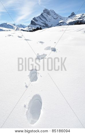Footprints on the snow