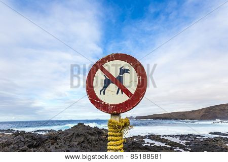 No Dog Sign At The Coast