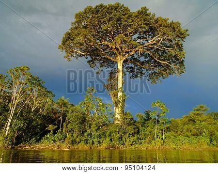 Rio Napo