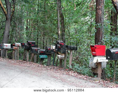 CALIFORNIA STATE ROUTE 236 , CA - NOVEMBER 15:   Mailboxes Lined Up On Side of Rural Road  2012