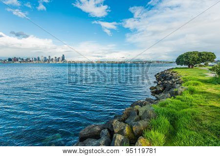 Seattle Bay And Skyline