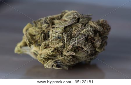 Bordello Medicinal Medical Marijuana