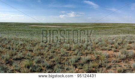Steppe In Mangistau Region