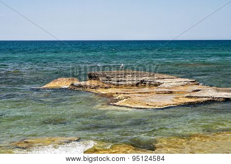 Caspian Sea In The Summer.