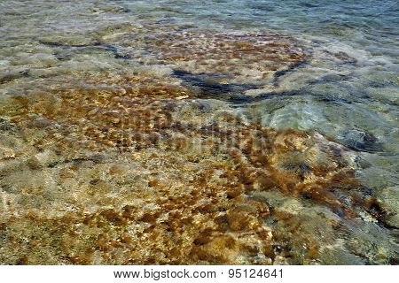 Transparent Water.