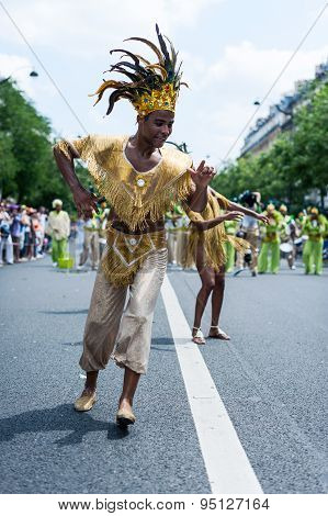Tropical Carnival In Paris