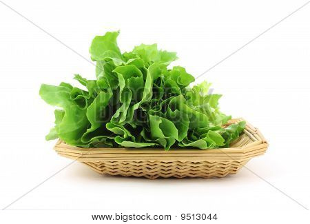 바구니 escarole