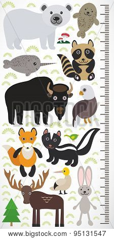 Animals Of North America - Narwhal Polar Bear Fur Seal Raccoon Skunk Fox Eagle Bison Elk Gannet Hare