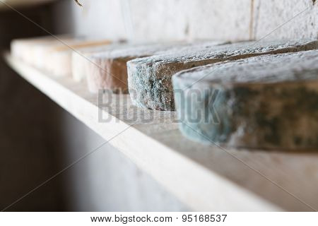 Goat Cheese Maturing In Basement