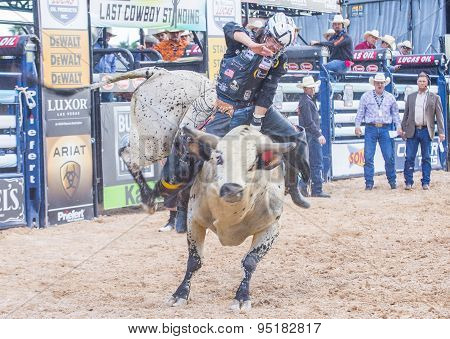 Last Cowboy Standing