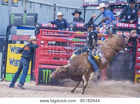 Last Cowboy Standing
