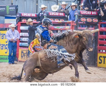 Last Cowboy Standing