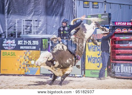 Last Cowboy Standing