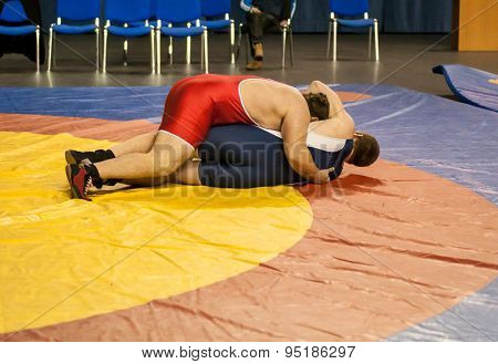Sports Wrestling