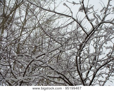 Image of winter