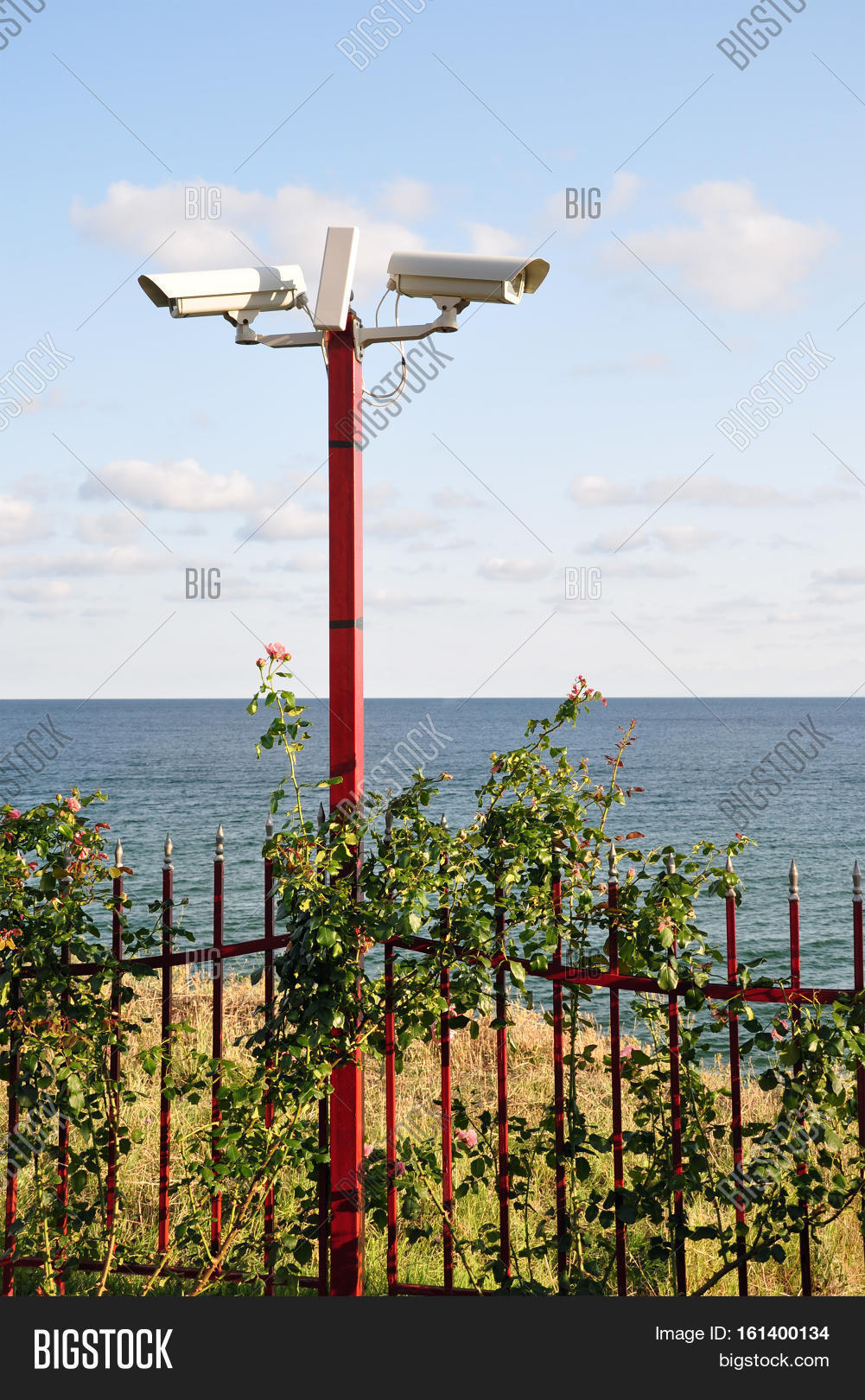 Image Preview