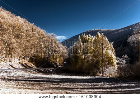 Cntrast Infrared Landscape, Countryside View