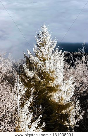 Fantastic Aerial Infrared View Of Mountain Landscape With Sea Of Fog