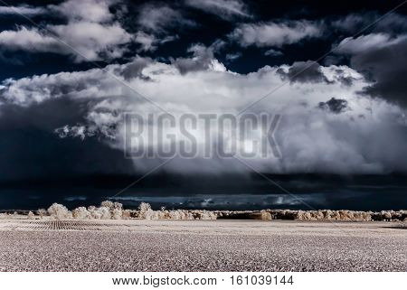 Cntrast Infrared Landscape, Countryside View