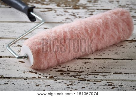 Roller  Paint