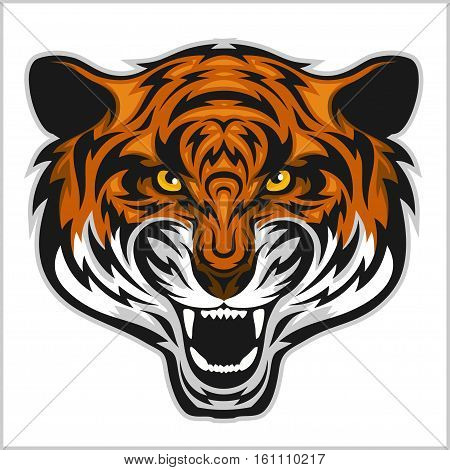 Tiger anger. Vector illustration of a tiger head on a white bacground