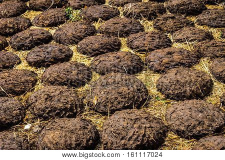 Drying Faeces To Be Used For Fire