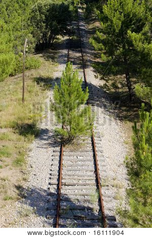 tilgroet spor, Soria provinsen, Castilien og Leon, Spanien