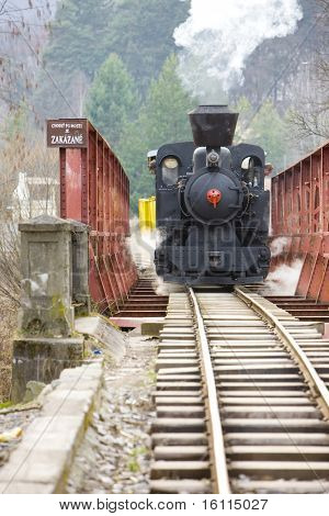 ultimo giorno di servizio della CKD vapore locomotiva n. 5 (1.4.2008), ferrovia Ciernohronska, Slovacchia