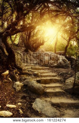 Amazing natural mysterious landscape in the Avakas canyon in Cyprus. National wild sunny park with stairs leading to the sun.