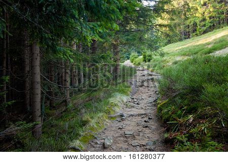 Beautiful Autumn Beskidy Mountains Landscape