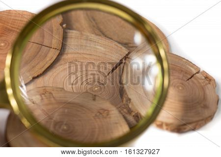Concept dendrochronology. tree trunks clearly visible annual rings, magnifier with handle on white background