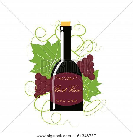 Grape Berry Leaf Behind Vine Bottle