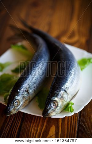 whole salted herring with lettuce on a plate