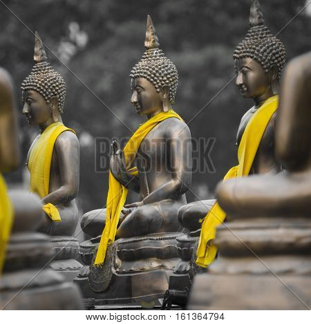 Buddha Statues In Seema Malaka Temple, Colombo, Sri Lanka