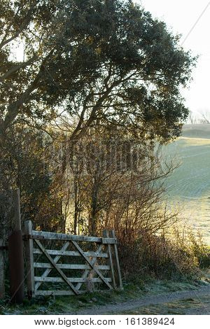 Winter scene of a gateway and track leading into a field on the South Downs in Sussex.