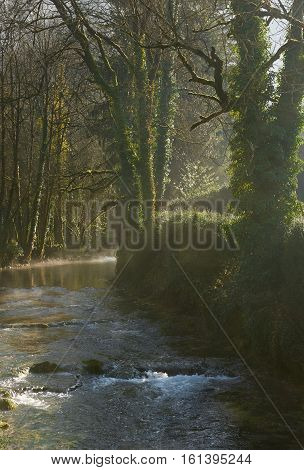 Small river runs through the centre of the Baume-les-Messieurs village. Jura department of Franche-Comte. France