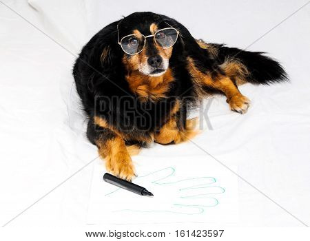 Drawing Dog