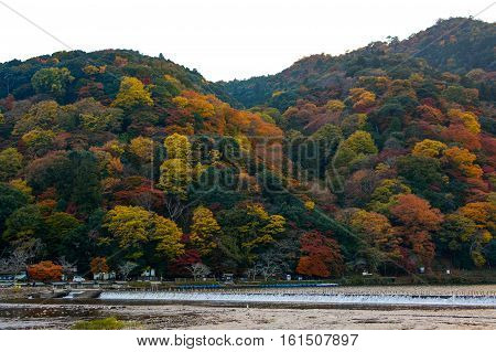 Katsura River and Mount Arashi in full autumn color in the Arashiyama district of Kyoto, Japan