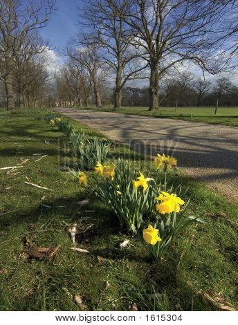Baddesley Clinton ejendom Warwickshire rute i hjertet af England måde langdistance sti