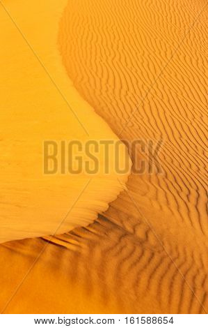 Sand Dunes In The Sahara Desert