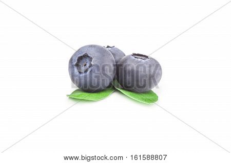 Huckleberry isolated on a white background cutout
